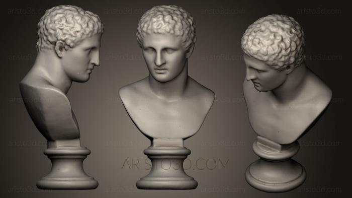 Busts and heads antique and historical (BUSTA_0355) 3D model for CNC machine
